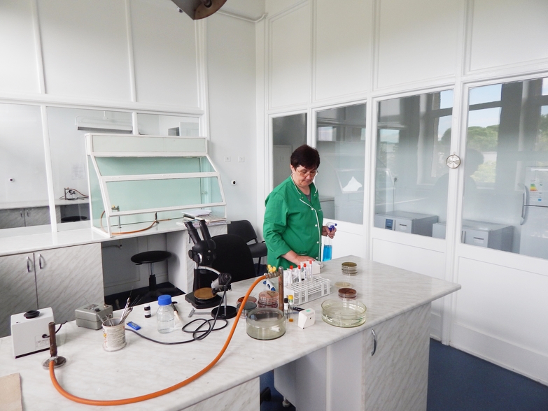 Servicii de curatenie profesionale - Iris curatenie Bacau - curatenie, igienizare si dezinfectare spatii medicale